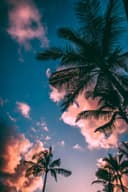 wallpaper-image